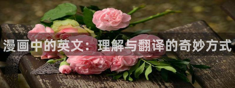 贝勒漫画在线看：漫画中的英文：理解与翻译的奇妙方式